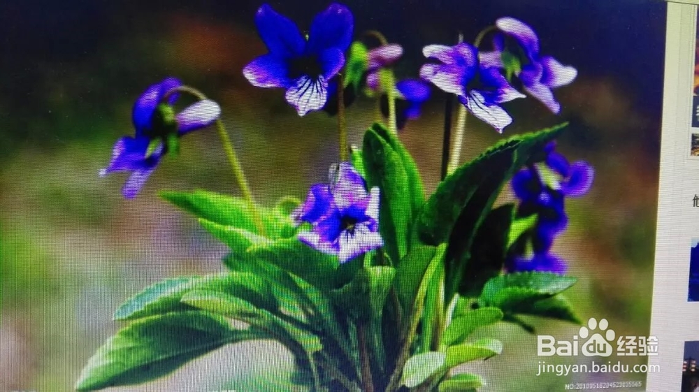 小学生节日期间给老师送什么礼物呢？