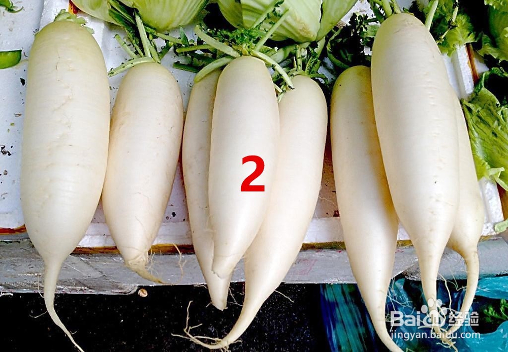 鼻塞鼻炎如何防治