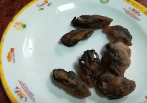 冷冻扇贝肉可以做粥吗