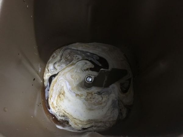 红茶奶油包#美的FUN烤箱.焙有FUN儿#