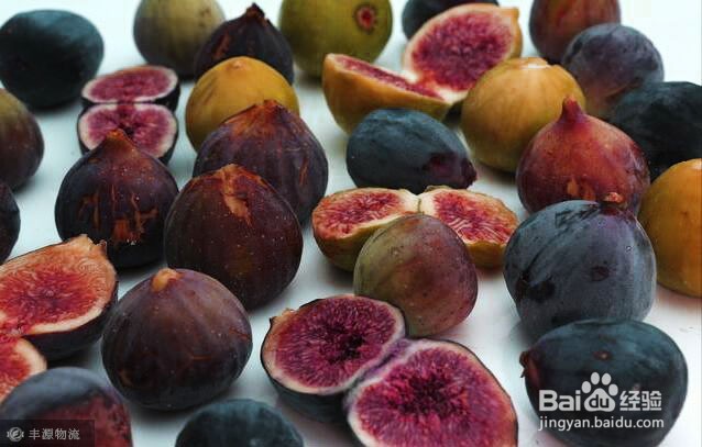 无花果这么养,吃到11月,比蜜甜的果子压满枝!