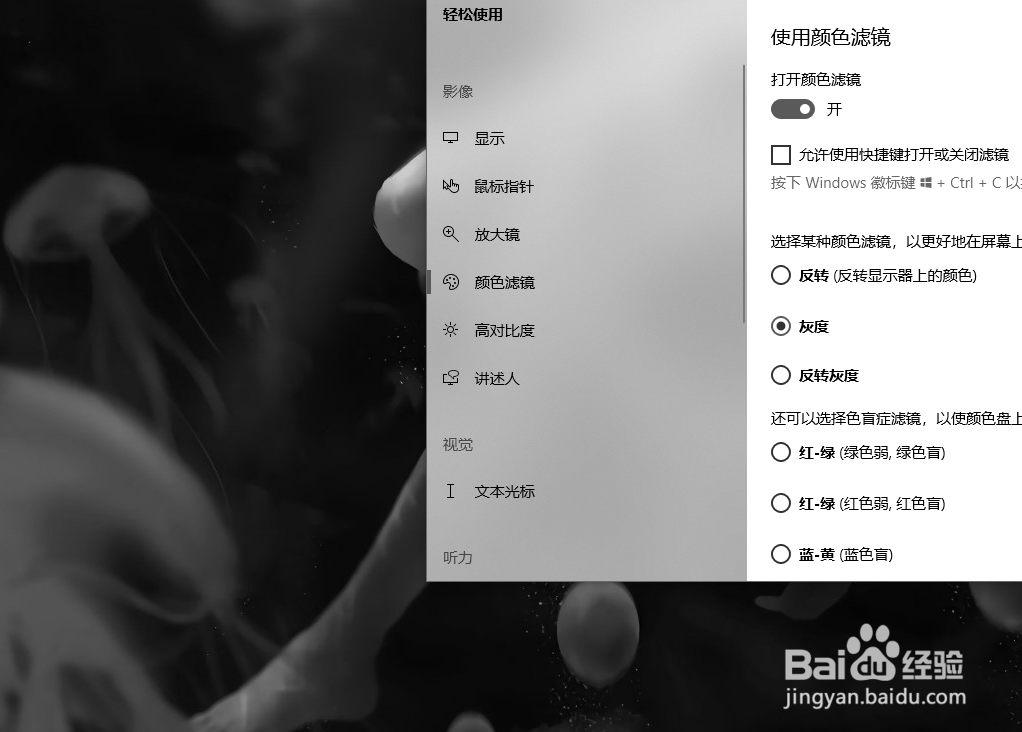 怎么使电脑屏幕变成黑白色