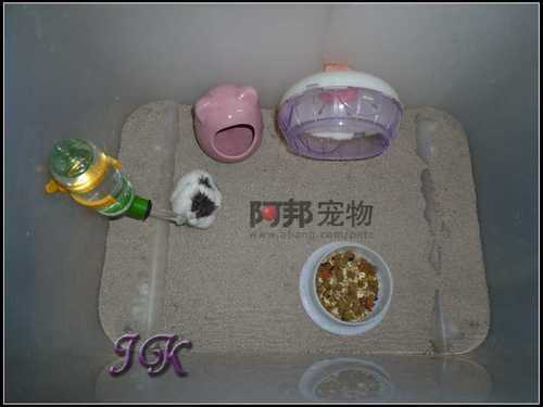 怎样制作环保低碳的仓鼠饲养箱