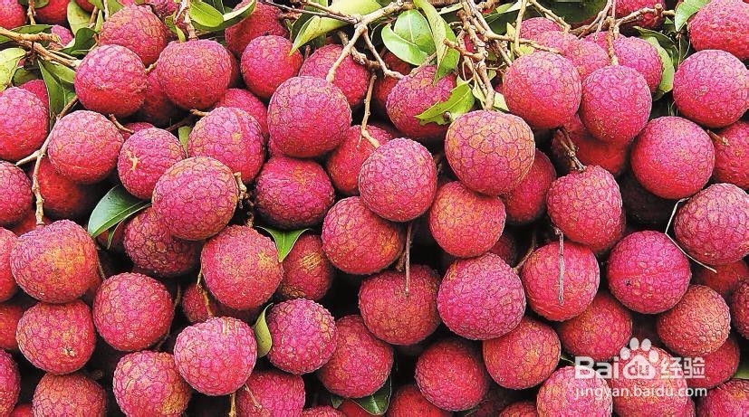 经常吃荔枝的好处