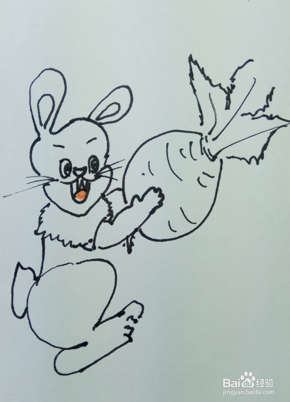 怎样画简笔画“小白兔爱萝卜”?