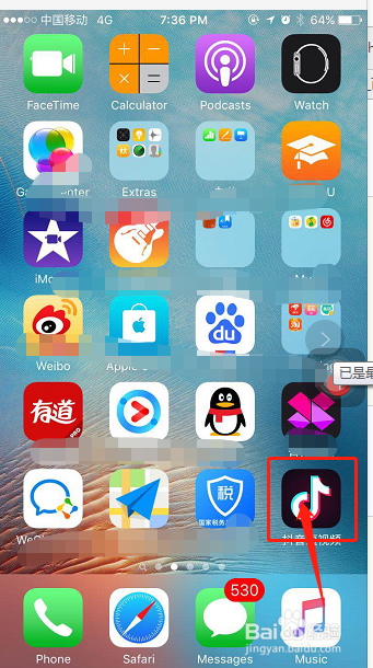 苹果手机如何下载抖音应用