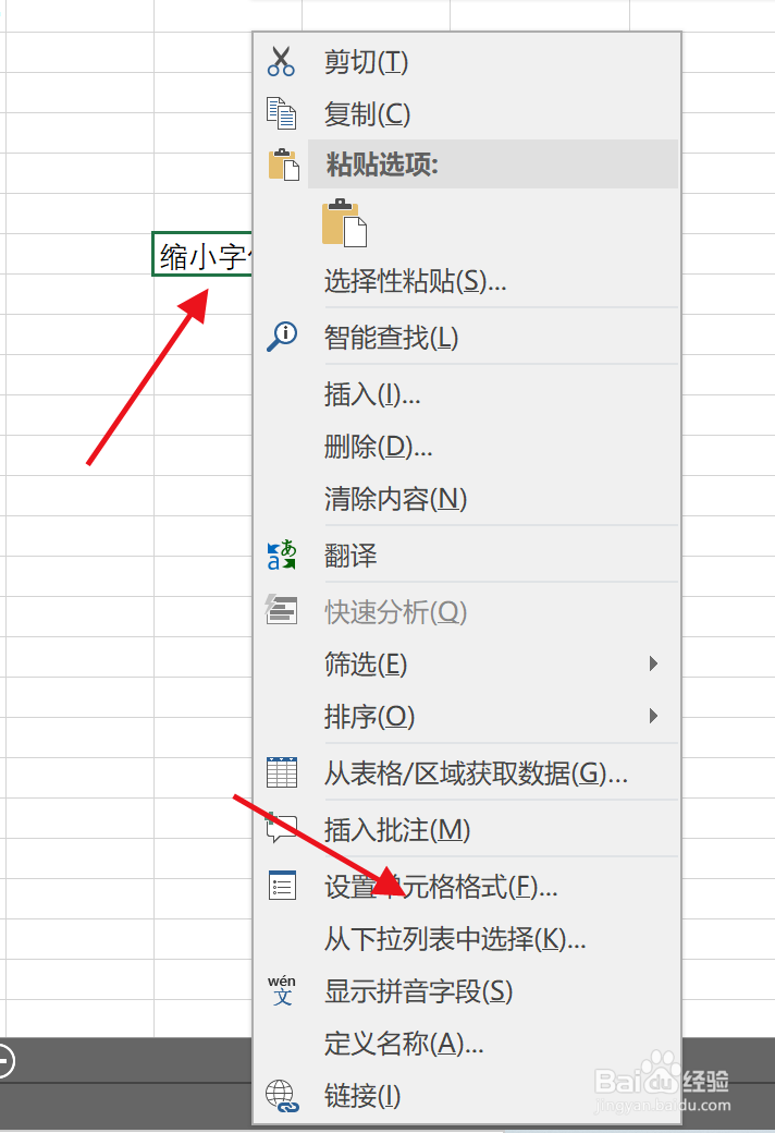 在excel中怎么设置字体大小适应单元格大小