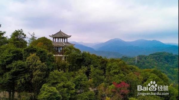 龙门附近有什么好玩的地方
