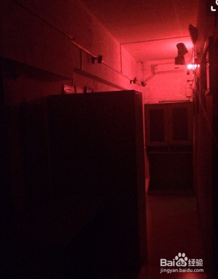 max伯爵密室太平间攻略