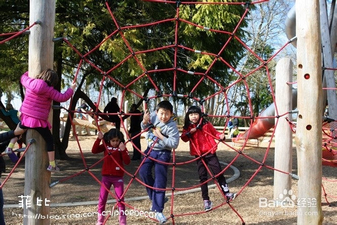 温哥华百万木头公园