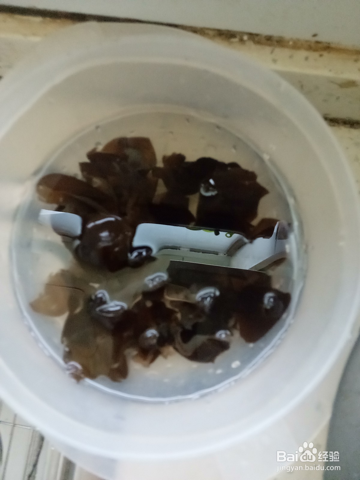 豆角木耳炒火腿肠