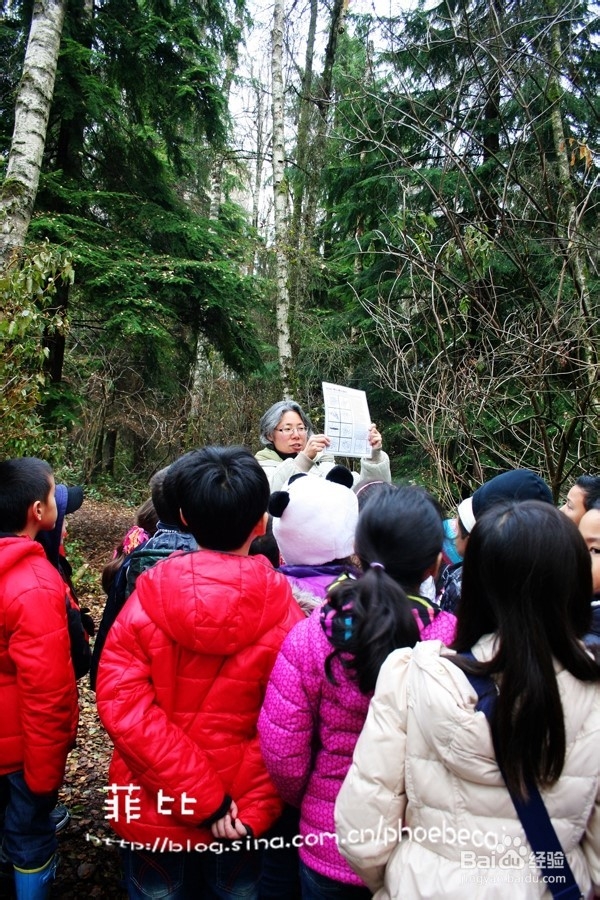 温哥华小学生郊游学什么