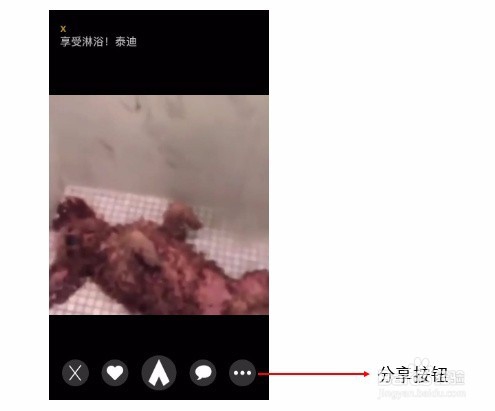 动图制作:直接拍摄or视频转GIF,并微信发送。