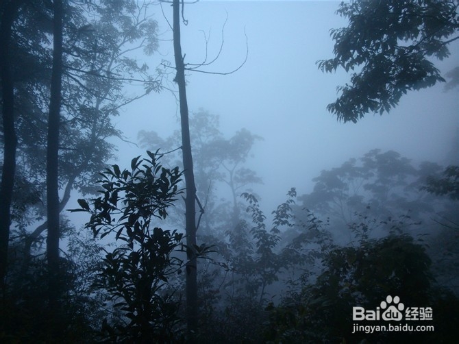 成都清明节旅游攻略