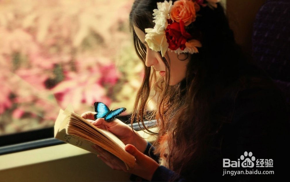 怎样快速攻取雅思高分？