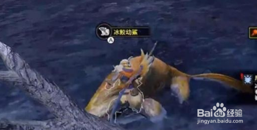 怪物猎人rise厚实的上等皮怎么获得