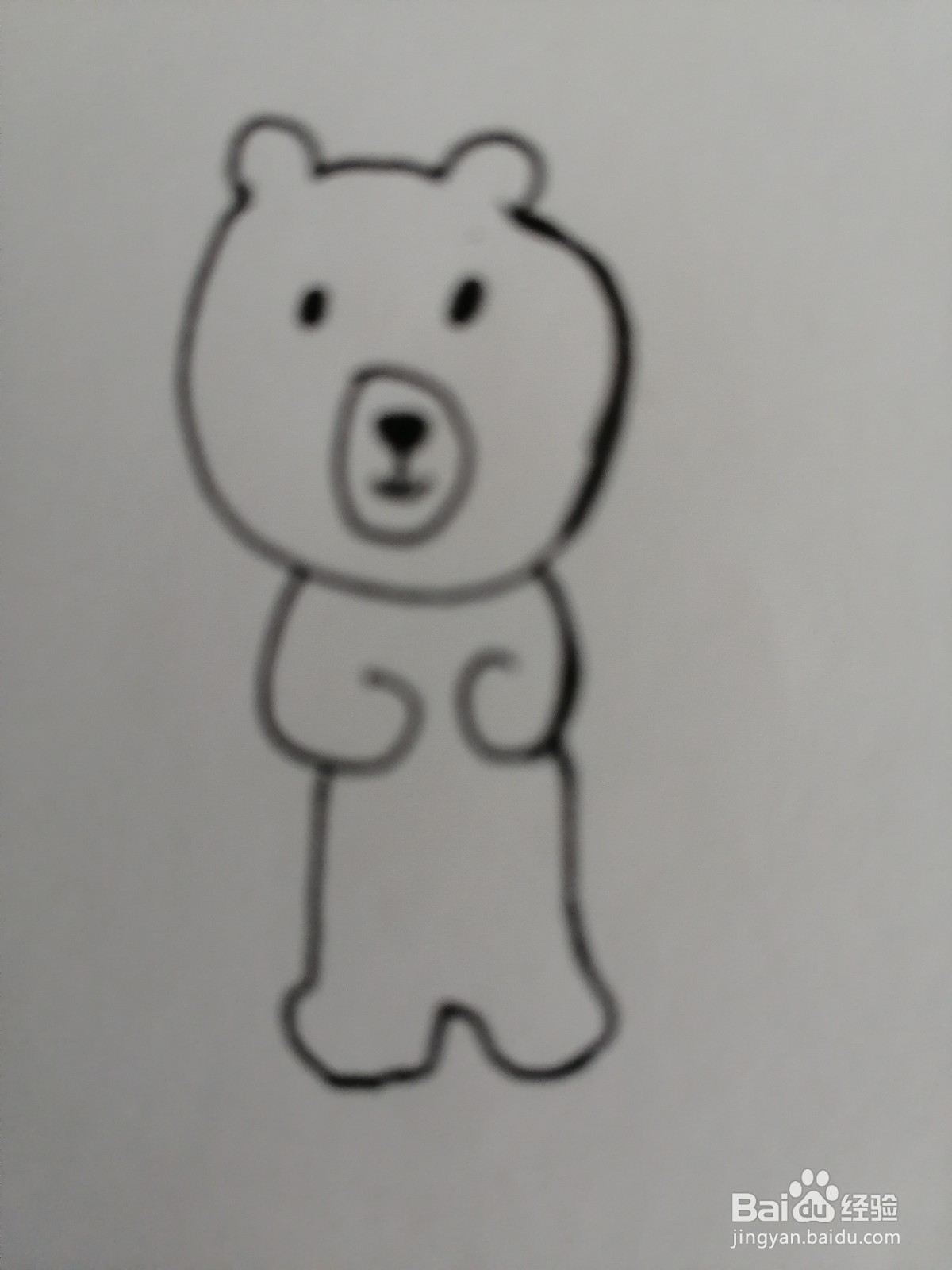 如何画出可爱的小熊。