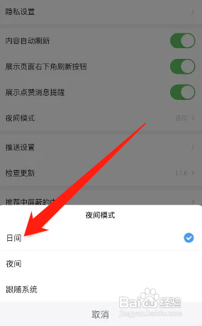 手机最右极速版如何开启日间模式