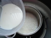 教你做好吃的牛奶冻