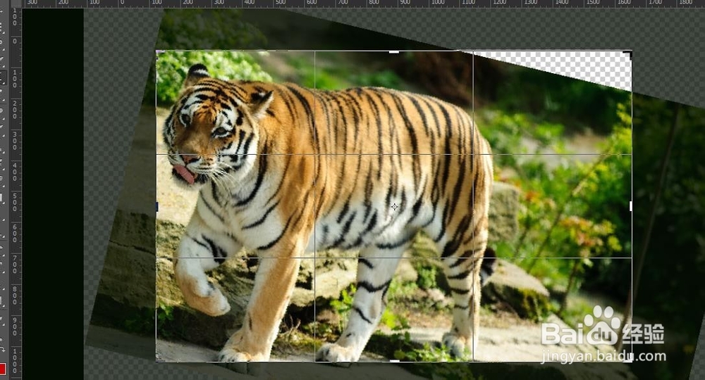 如何利用ps旋转图像？