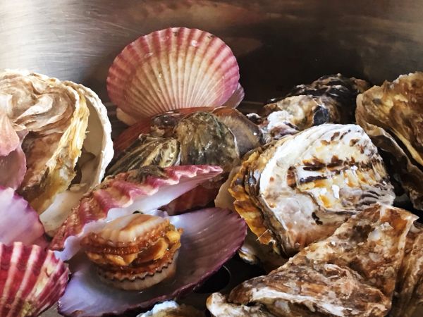 海鲜螺旋五彩意面