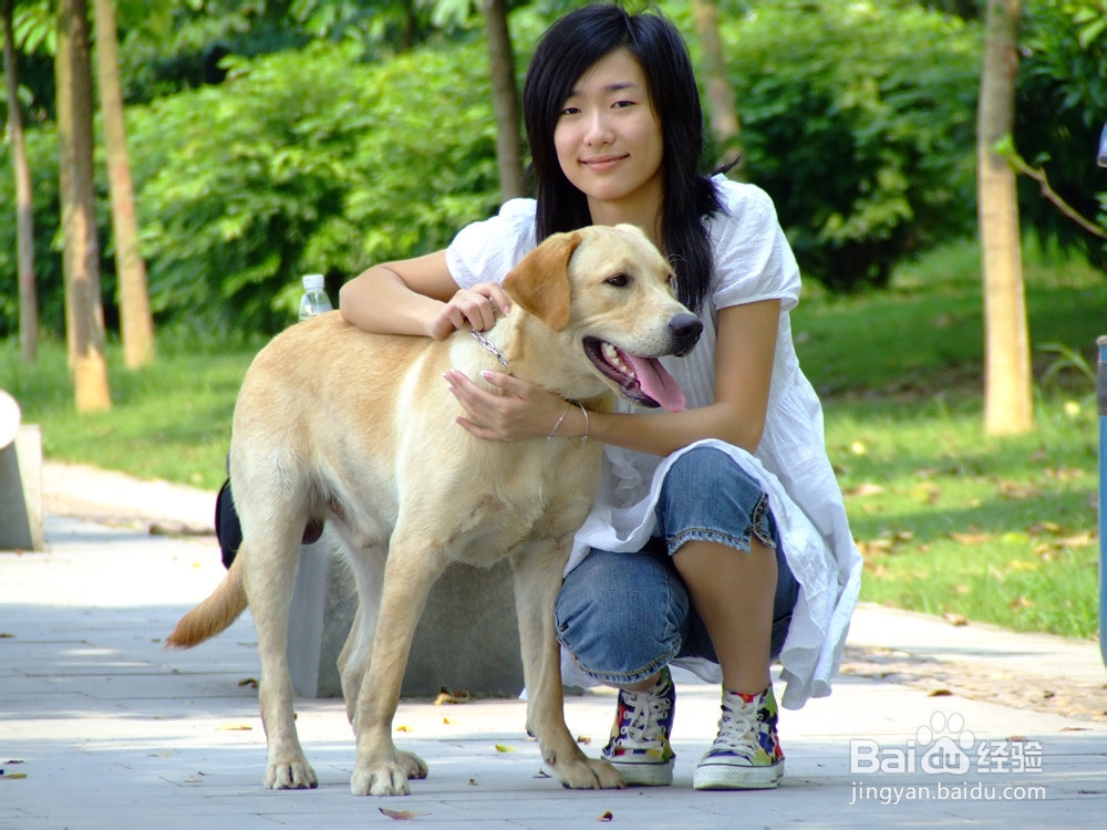女不养狗,男不养猫是什么意思
