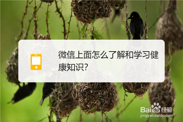 微信上面怎么了解和学习健康知识