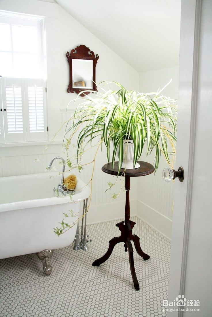 室内装修产生的甲醛要怎样清除