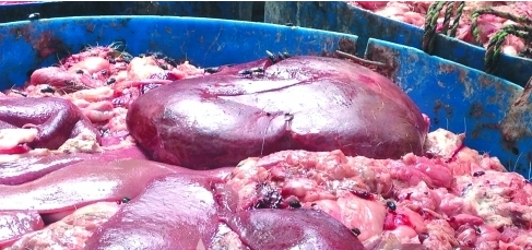 不能多吃容易致癌食品，希望大家尽量不吃或少吃