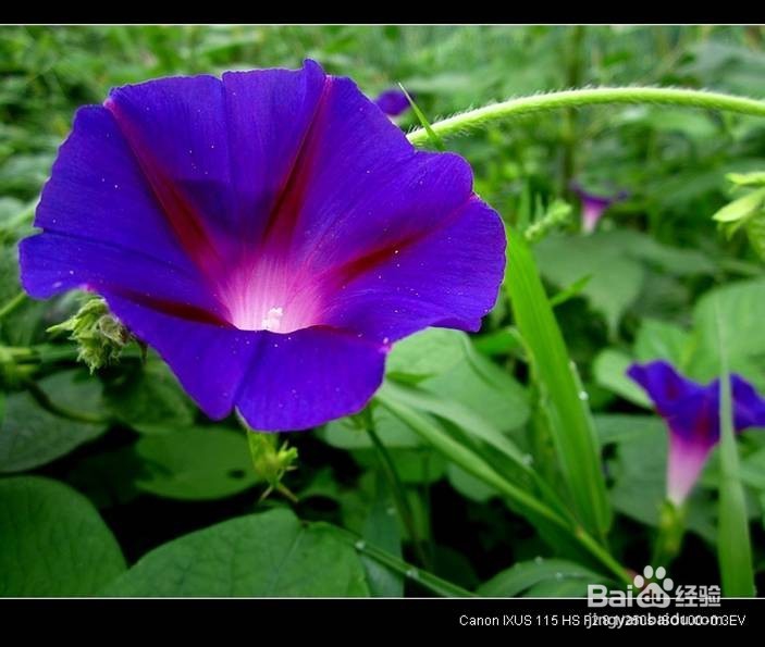 相机的认识和使用