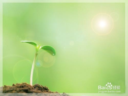 做人要明白的东西