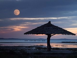 苹果7手机拍照技巧