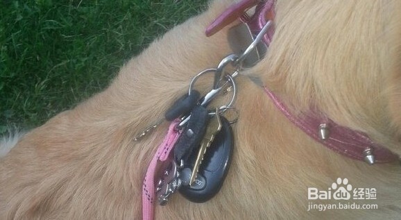 生活中实用的小窍门