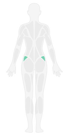 髋关节环绕_综合热身