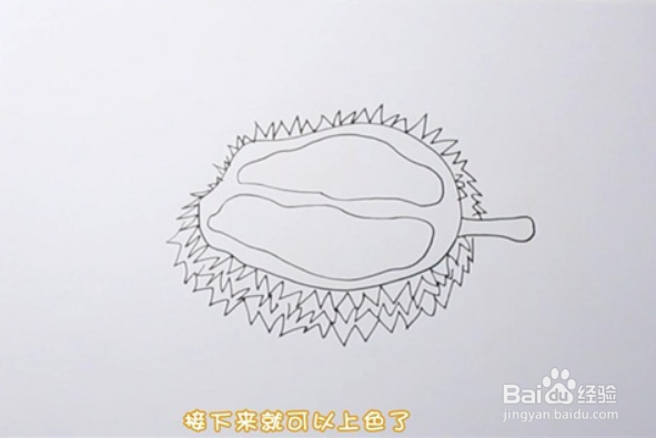 榴莲简笔画怎么画
