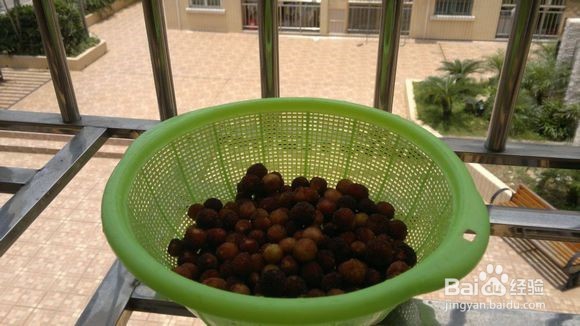 春砂密的制作方法