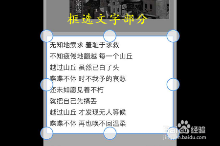 手机QQ浏览器如何提取图片上的文字