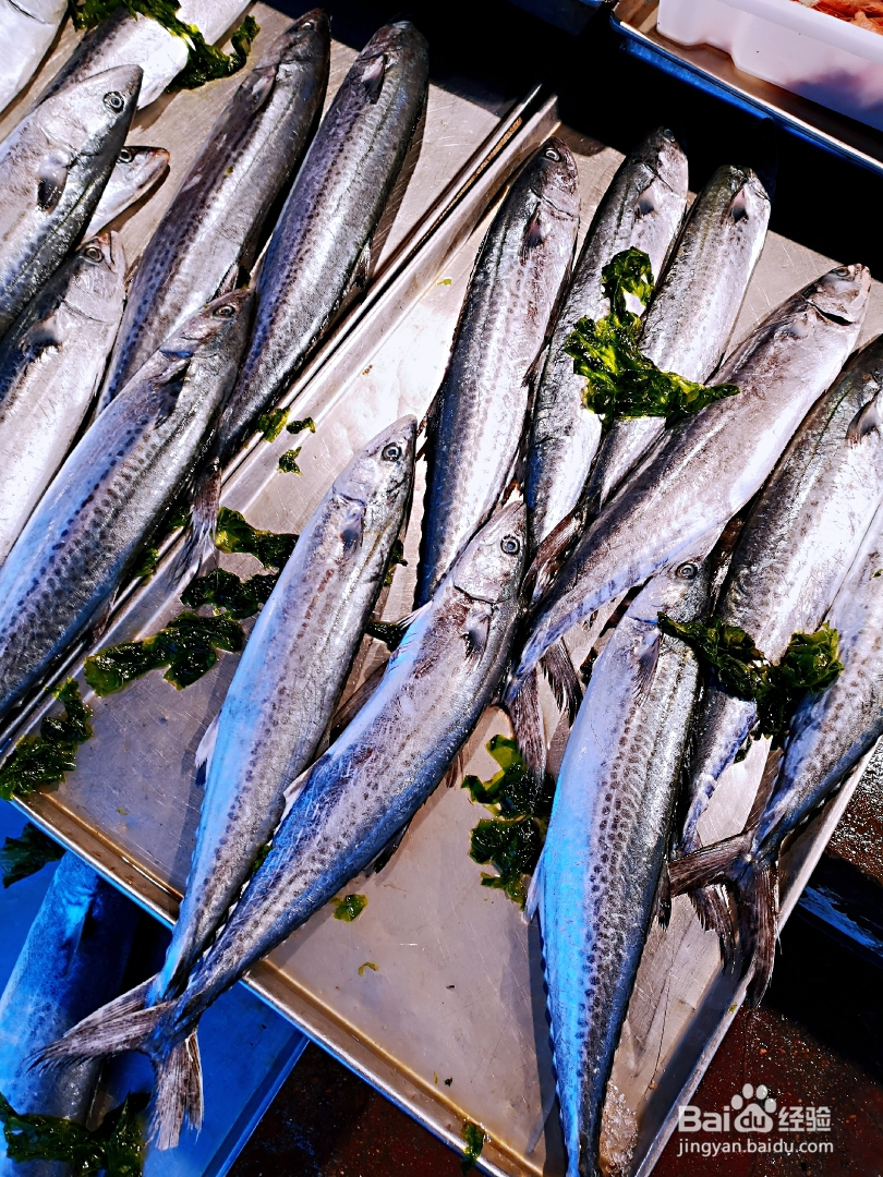 一个人做蒜苔鲅鱼