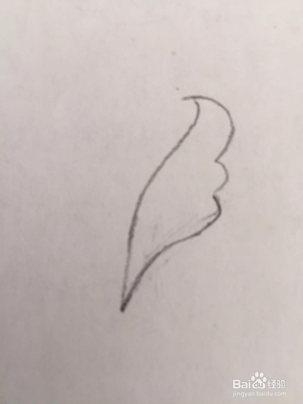 简笔画玫瑰花的画法