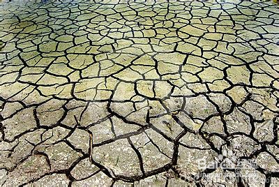 6  工作和生活的环境不要太过干燥,如果环境干燥空气加湿器是个不错