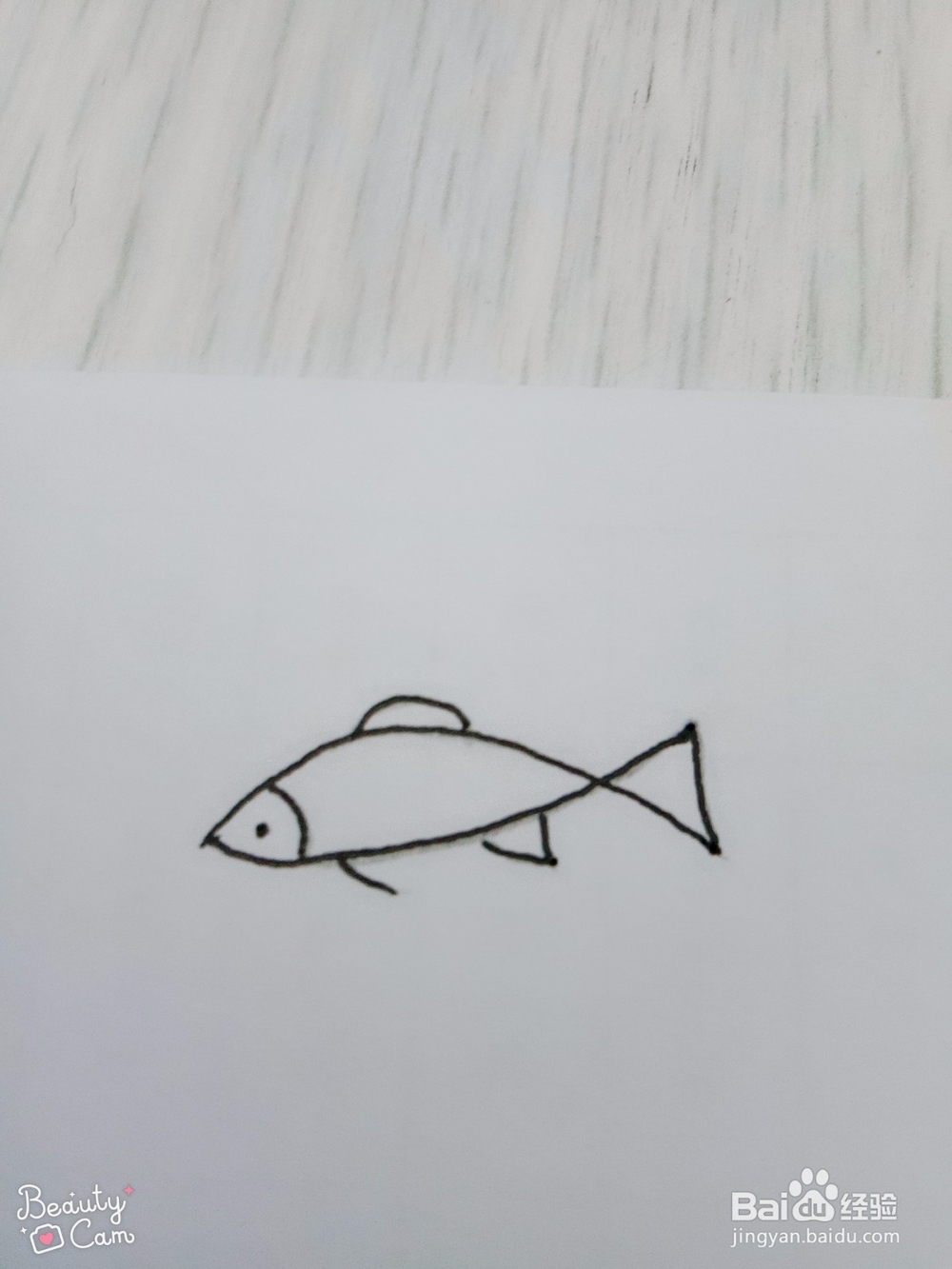 鱼的多种简单画法