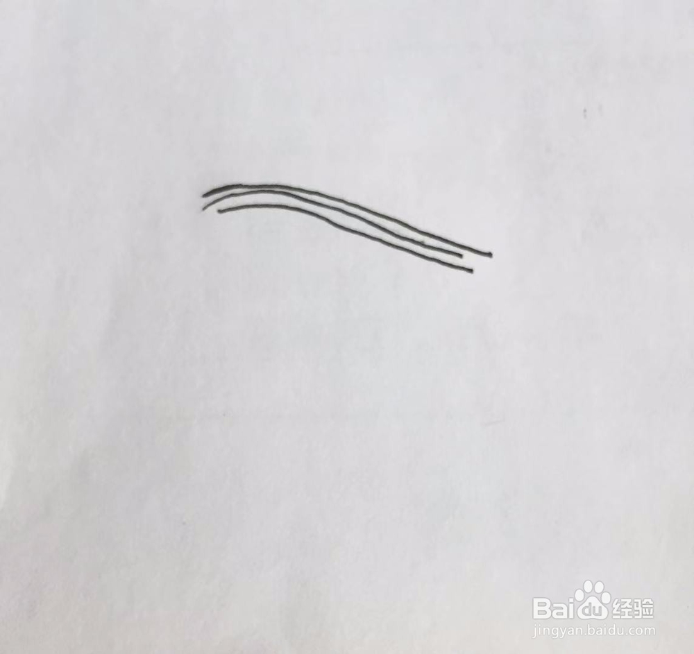 茉莉手绘之白菜与豆腐