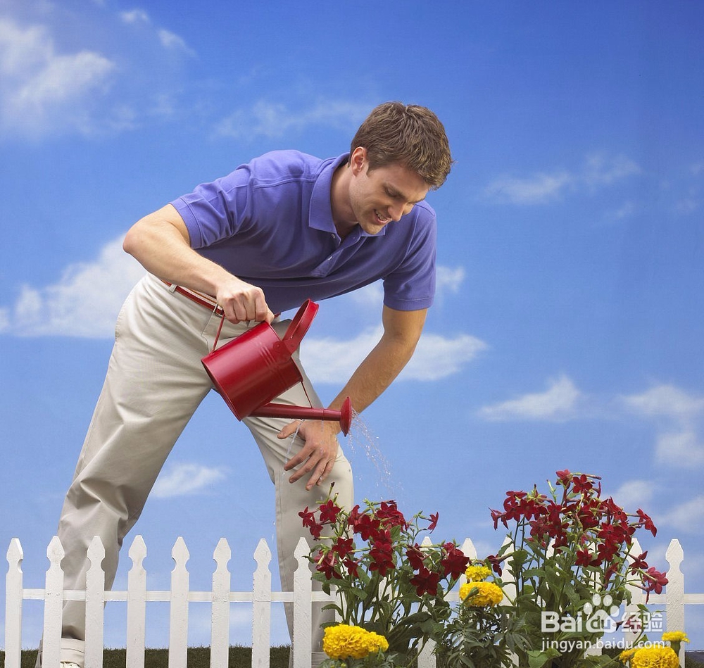 浇花用什么样的水好