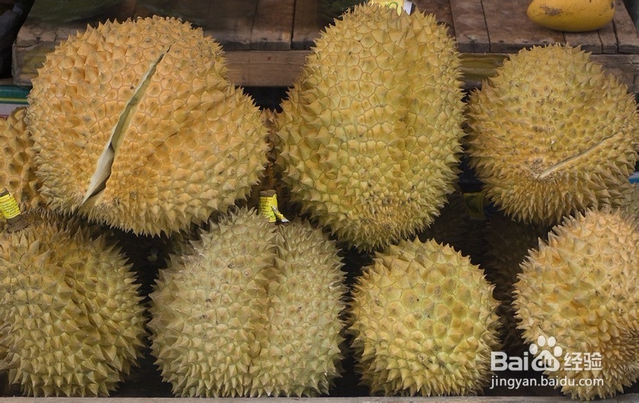 #水果#如何挑选优质的榴莲