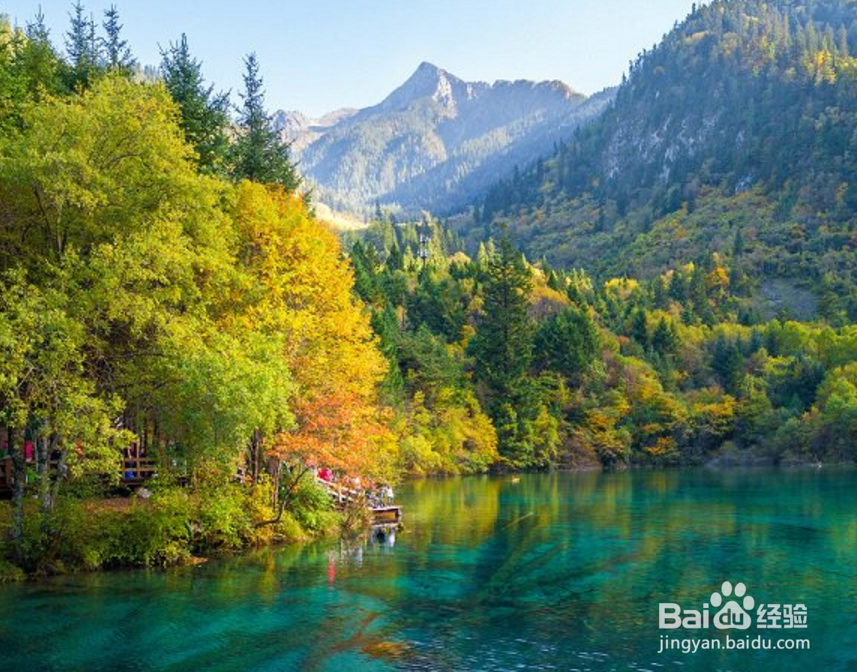 成都夏天旅游攻略