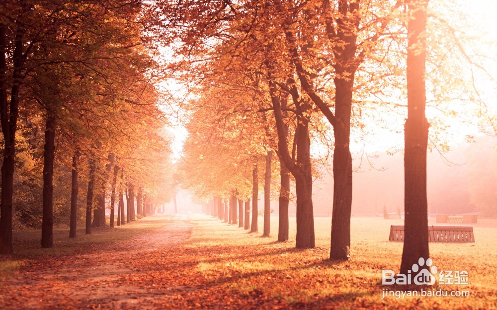 过去，是黑暗中的天使