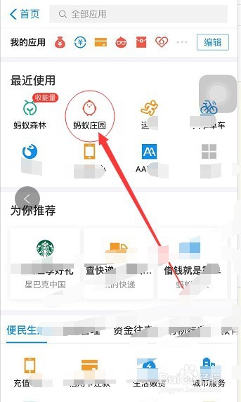 养老金有分红吗?蚂蚁小课堂告诉你答案