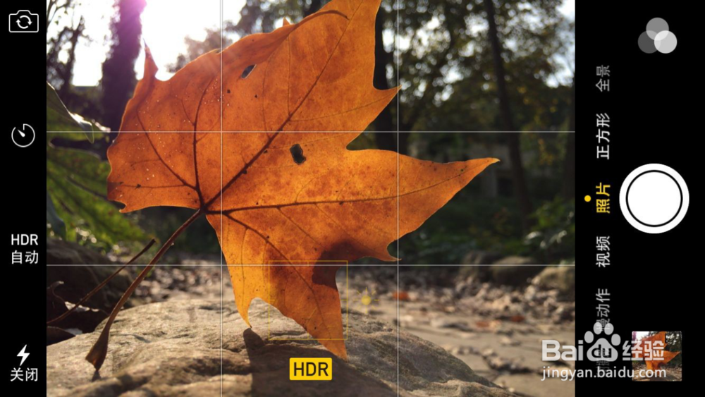 手机拍摄图片之最重要的构图