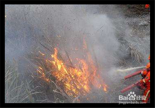 森林救火方法