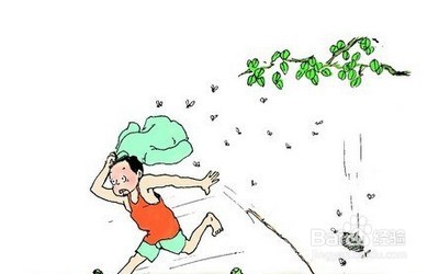 常见外伤的应急处理方法